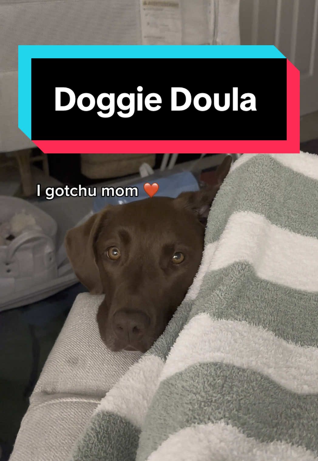 Live from the trenches, who’s supporting you?! 😘 #gooddog #breastfeeding #newmom #dogmom #momhumor #husbandandwife #humor #latenight #labrador #exhausted #exhaustedmommy #help #dog  This post plays on a number of things. One of them being my husband’s and my humor. Let it be out there that he works his a** off and has a very demanding schedule so he does what he can and is always trying to show up. Sometimes he’s just more awake than others 😘