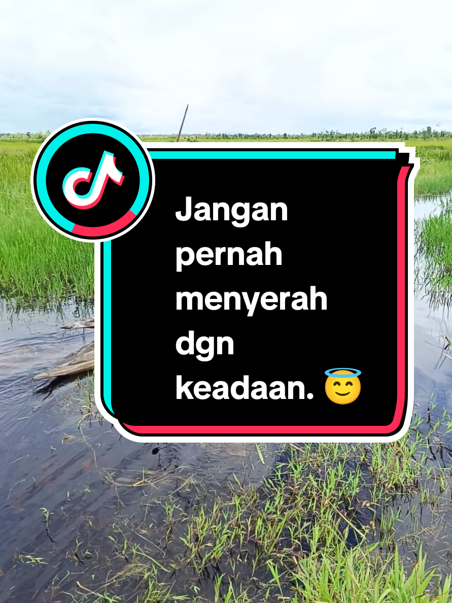 Saling membantu utk antar jemput. 🙄😇 #fypシ゚ #papua #viral #papuaselatan #anakpapua 