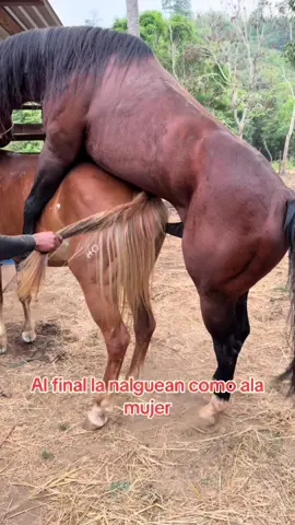 #mujer #nalgene #ADN #caballos 