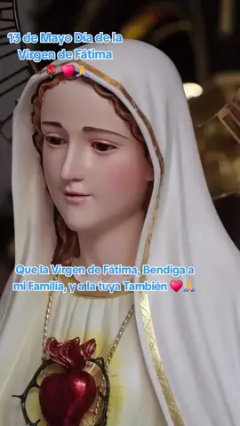#amen🙏 #madremia #Cúbrenos con tu #manto #maternal #sagrado #protector #lleno de #amor y #libranos de todo #mal #Amén ♥️🙏⚘️