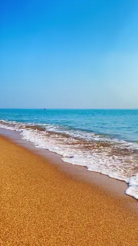 One minute of chill with ocean sounds 🌊✨ #fyp #viral #asmr #oceanwaves #relaxation 