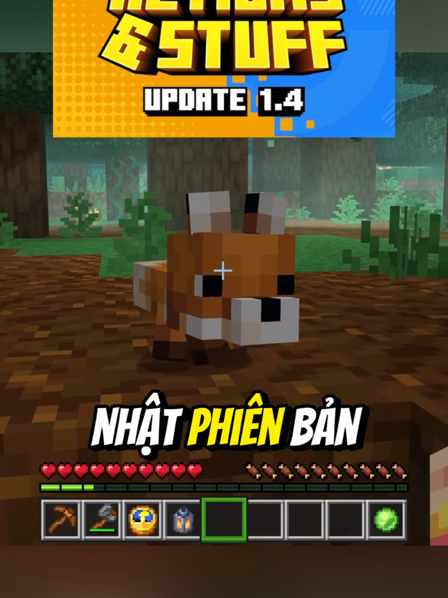Addon Action & Stuff 1.4 Dành Cho MCPE #bachkhoamc #WhatToPlay #GamingOnTikTok #Minecraft #mcpe #minecraftbedrock 