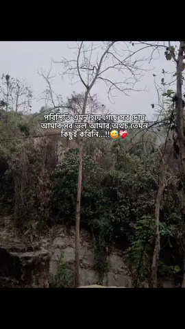 পরিস্থিতি এমন হয়ে গেছে সব দোষ আমার,সব ভুল আমার,অথচ তেমন কিছুই করিনি…!!😅 #unknown_boy_694 #viralvideo #viralvideo #idunfreeze #viralvideo #foryoupage ##foryo2025 #foryoupage #viralvideo #ypシviralシ2024 