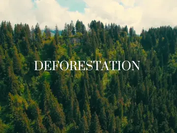 what deforestation does to our forests | #fyp #foryoupage #deforestation #climateaction #Sustainability #edit #biodiversity #savetheplanet #effects 