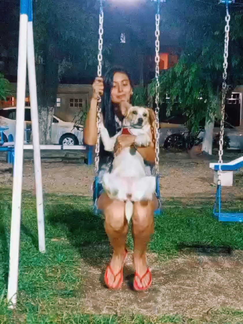 Soy mamá perruna 🐶🫶🏻🩷 #mothersday #dogmom #mamáperruna #babydogs #celebration #mamá 