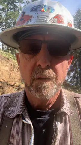 #treekillr #loggingislife #skullbuckethardhats #stihlsaws 