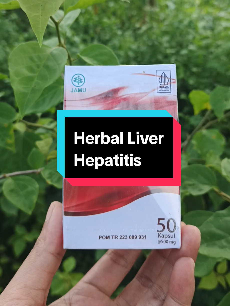 Libaver Bharata Original Herbal Liver & Hepatitis #herbal #liver #hepatitis #libaver #bharata #obathepatitisliver 