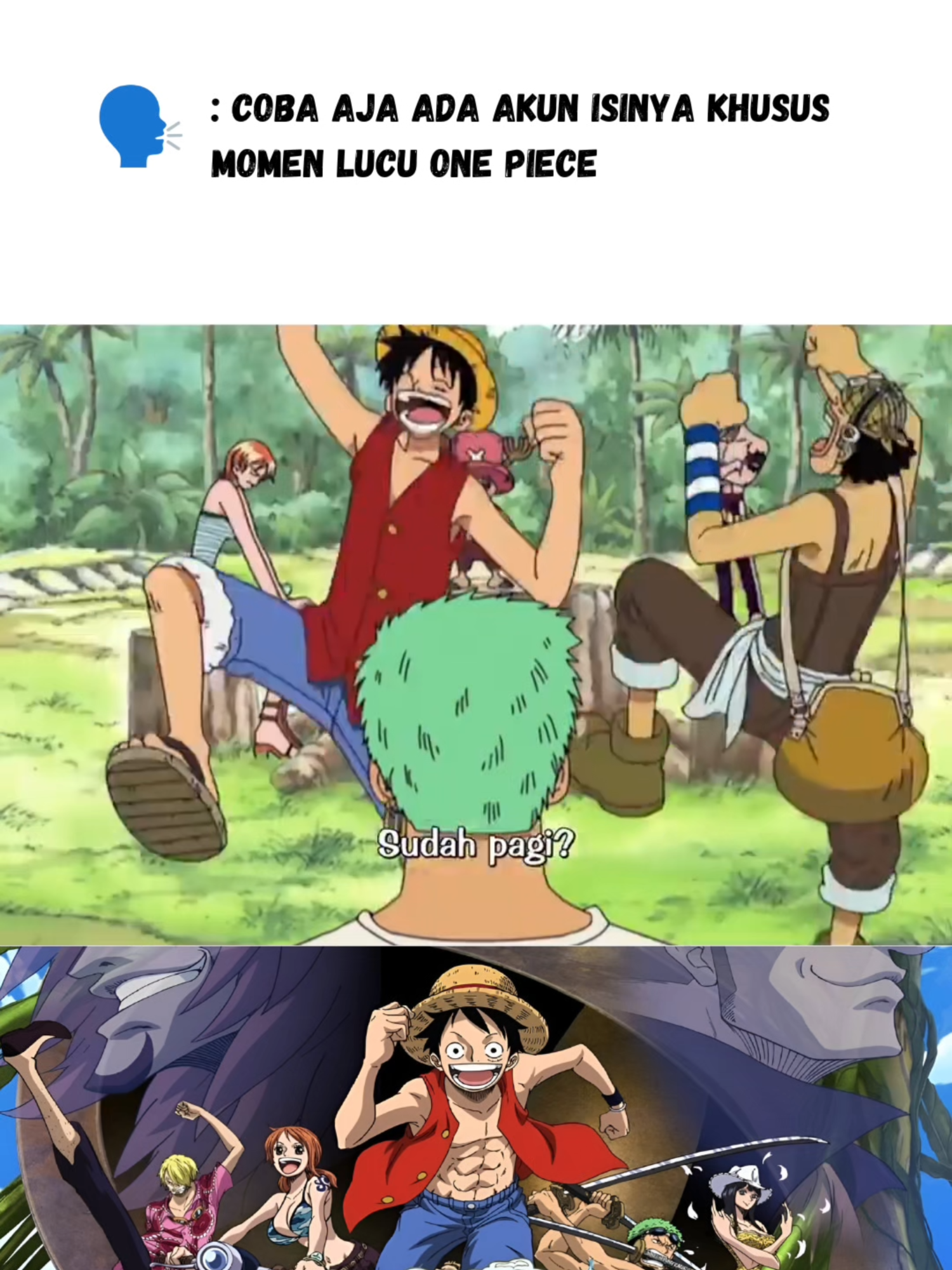 Belum ke pulau langit malah nyaris mati... #onepiece #onepiecelucu #onepiecengakak #onepiecetiktok #anime