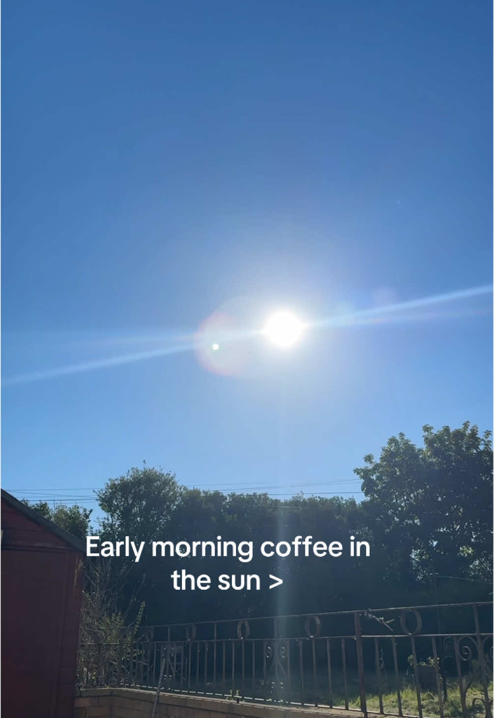It’s the little things like this that make summer so great! #Summer #morning #engagement #reach #smallcreator #creator #pov 