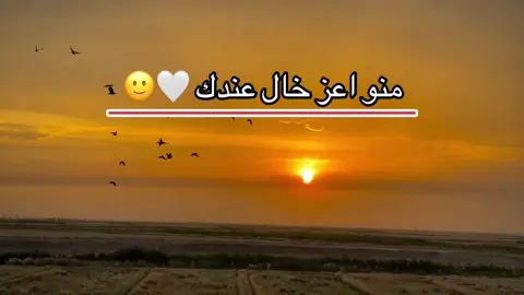 سويله تاك؟؟🤍#تصوير_احترافي_الاجواء👌🏻🕊😴 #تيوتا_شعار_لايعرف_القانون🔥✈️ #مجرد________ذووووووق🎶🎵💞 #fypシ゚vira #لايك__explore___ #tik_tok 