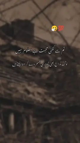 #deeplines #viraltiktokvideo #foryou #fyp #urdusatetus #urdupoetry #urdusatetus #viraltiktokvideo 