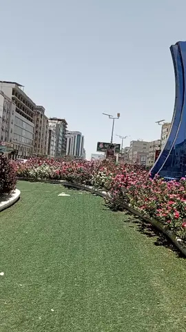 هي القناعه فالزمها تعش ملكا 