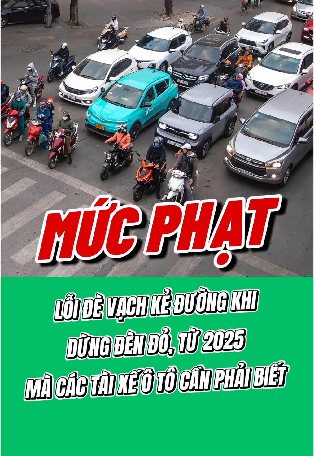 Mức phạt lỗi ô tô đè vạch kẻ đường khi dừng đèn đỏ từ 2025 #meohayoto #xuhuong #LearnOnTikTok #luatgiaothong #xuphatgiaothong #phatnguoi 