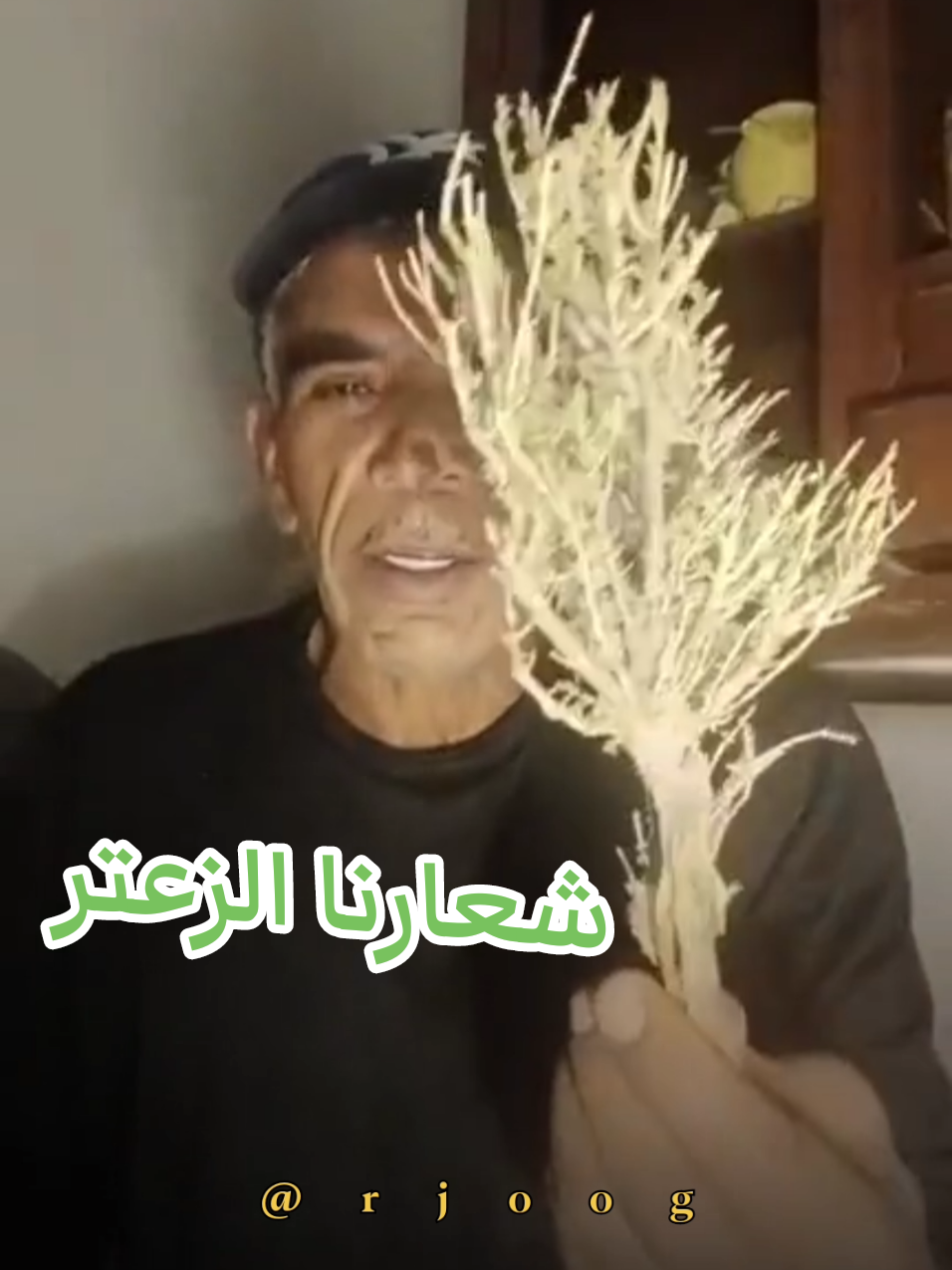 شعارنا الزعتر 😂☘️ #عبد_الرزاق_البكوش #الزنتان #ميمز #طرابلس #libya_tripoli 
