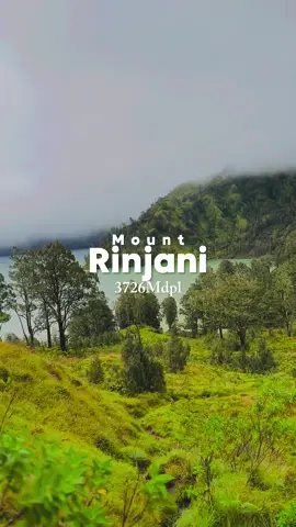 1 menit melihat gunung rinjani indah dalam setiap sudutnya. Terima kasih rinjani🌅  #gunungrinjani #rinjanimountain #danausagaranak #toreanrinjani #mangu #fourtwentymusic #fyppppppppppppppppppppppp #fyp #4u #xyzabc #masukberanda #lombok #mountnesia #sembalun 