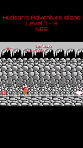 #nes #dendy #nintendo #famicom #hudsonsadventureisland #adventureisland #8bit #8bitgames #retrogaming #retrogames #sabat_33 