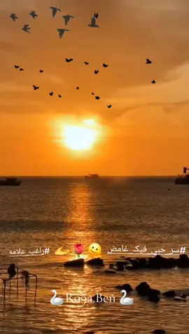 #المغرب🇲🇦تونس🇹🇳الجزائر🇩🇿 #الشعب_الصيني_ماله_حل😂😂 #سر_حبي_فيک_غامض #راغب_علامة #اكسبلور #ترند #العراق #كوميدي #السعودية #تيك_توك #العراق #asmr #pov #e #tik_tok #edit #explore #f #e #comedia 