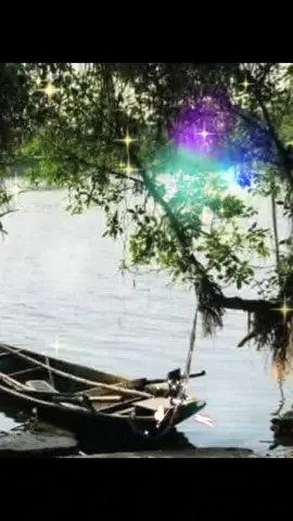 Đò neo bến đợi chờ ai  Trăng nghiêng bóng nước lắt lay nhịp lòng  Lá rơi khe khẽ bên sông  Thuyền xưa phủ bóng nhớ mong thuở nào... #canhdep  #poem  #nhachaymoingay  #xuhuongtiktok 