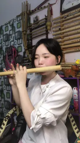 Độ ta ko độ nàng - sáo mèo#xuhuong #viral #xuanhuong #saomeo 