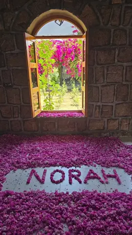 لبيه مليووون #ورد #زهور #عطور #نوره #norah #اكسبلورexplore #خميس_مشيط_أبها #الطايف #ابها 