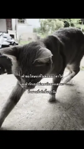 #เธรด #สตอรี่ #เธรคําพูด 