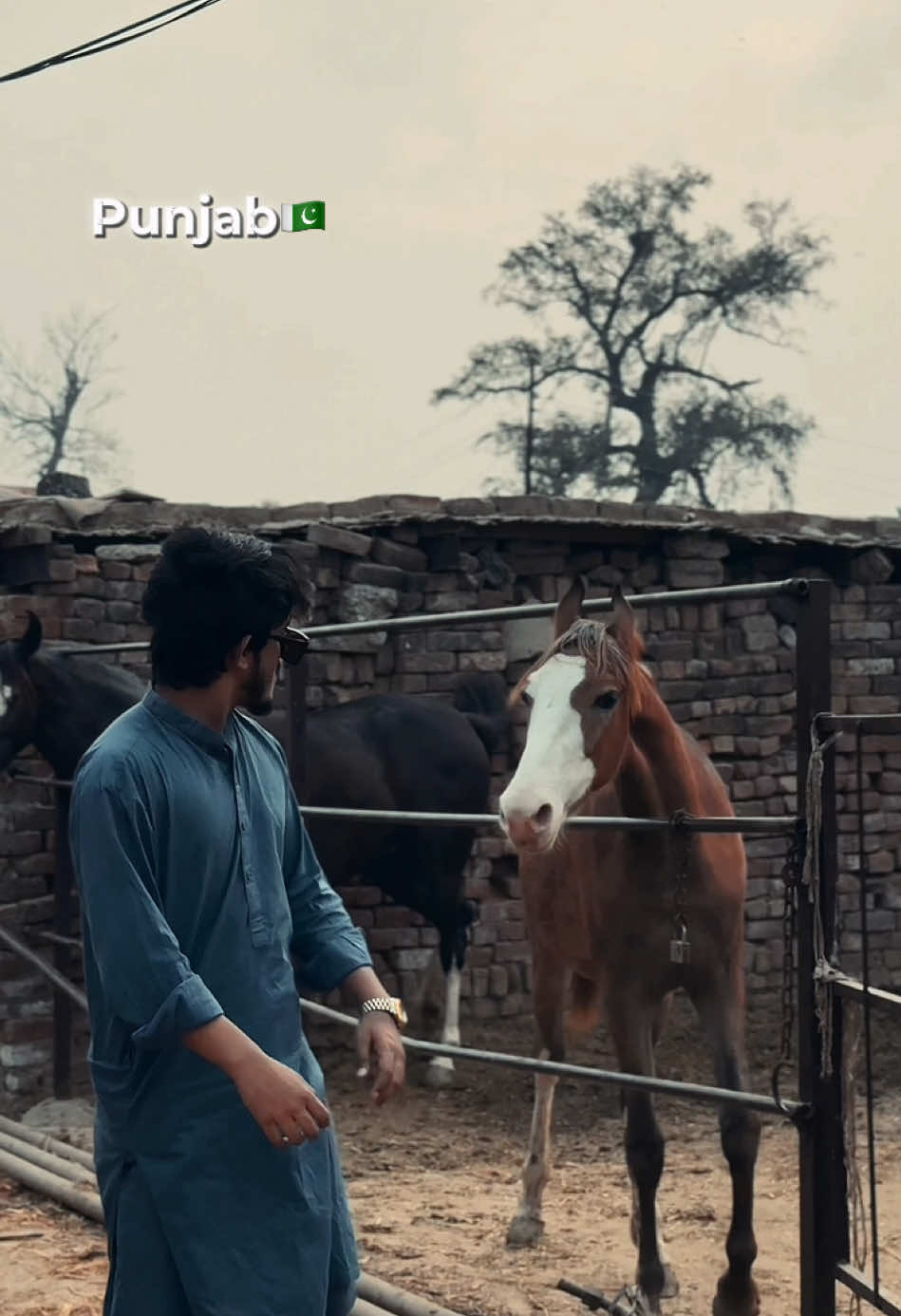 🔥punjab🚨#foryou #foryoupage #standwithkashmir #powerkapunch #onemillionaudition #umar_official01 