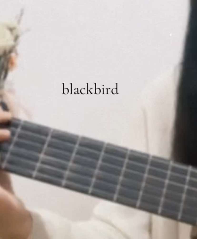 #blackbird #thebeatles #coversong #fyp 
