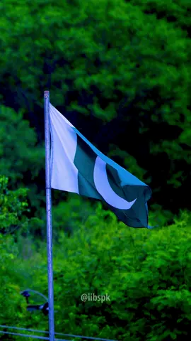 Watan say aziz kuch b nahi  . . . #Pakistan #PakistaniFlag #Patriotism #CulturalHeritage #Unity #Inspiration #Freedom #BeautifulPakistan #WavingFlag #NationalPride #islamabad#fy