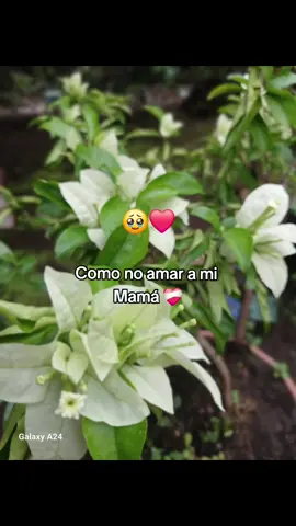 ❤️🥰❤️