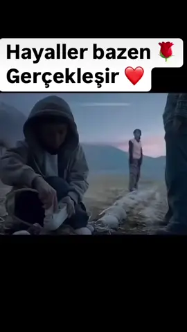 #🕊️🕊️🕊️🕊️ 