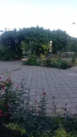 جولاتنا الي ما تخلص واهم شي راحت المسافر عدنه وحبيبتي ام علي متكدر تعوق امها لئن مره جبيره و ما عفتها تضوج او ما تتونس بالجولات #تعلن حملات كربلاء ايران ام كرار  للسفر والسياحه عن رحلاتها إلى ايران  تاريخ 2025/5/20  الرحله  برنامج ديني و سياحه فندق مميزه  🚌قم +مشهد +نشابور 11 يوم يشمل نقل 🚌وسكن 🏕️ 3 وجبات في مشهد 3 وجبات قم سعر النفر 250 الف فقط 🙏🌹 للحجز والاستفسار اكثر راسل او اتصل ع الرقم التالي 07731955885 يوجد واتساب حملتنا ليسه تجمع شركات حملدار ام كرار التجمع حي العباس مقابيل فرع الثالث يم النافوره واهلا وسهلا بالجميع#متابعيني_الغالين #كربلاء_نجف_بغداد_حله_ديوانيه_بصرة #بغداد_بصرة_موصل_الكويت_الخليج_دبي_ #دوس_على_الشاشه_مرتين #ممكن_متابعه_فضلا_وليس_امرا #احبكم_يا_احلى_متابعين_ربي_يسعدكم🦋🕊💔😅 