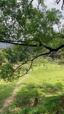 Để gió rừng kể chuyện, để lòng mình bình yên - Cao Bằng hẹn ngày trở lại 🌿  #Summer #caobang #caobangreview #healing #landscape #xuhuong #travel 