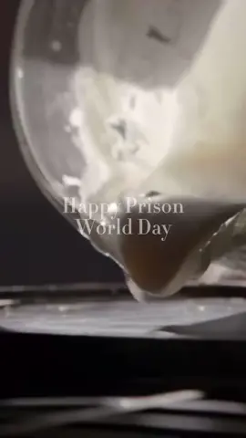 Happy Prison World Day #tvdu #tvd #thevampirediaries #vampirediaries #fyp #damonsalvatore #bonniebennett 