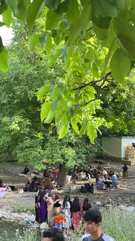ناڤۆنیشان#ئاکری #دینارتە #هاڤینگەهاگربیش #أكسبلور 