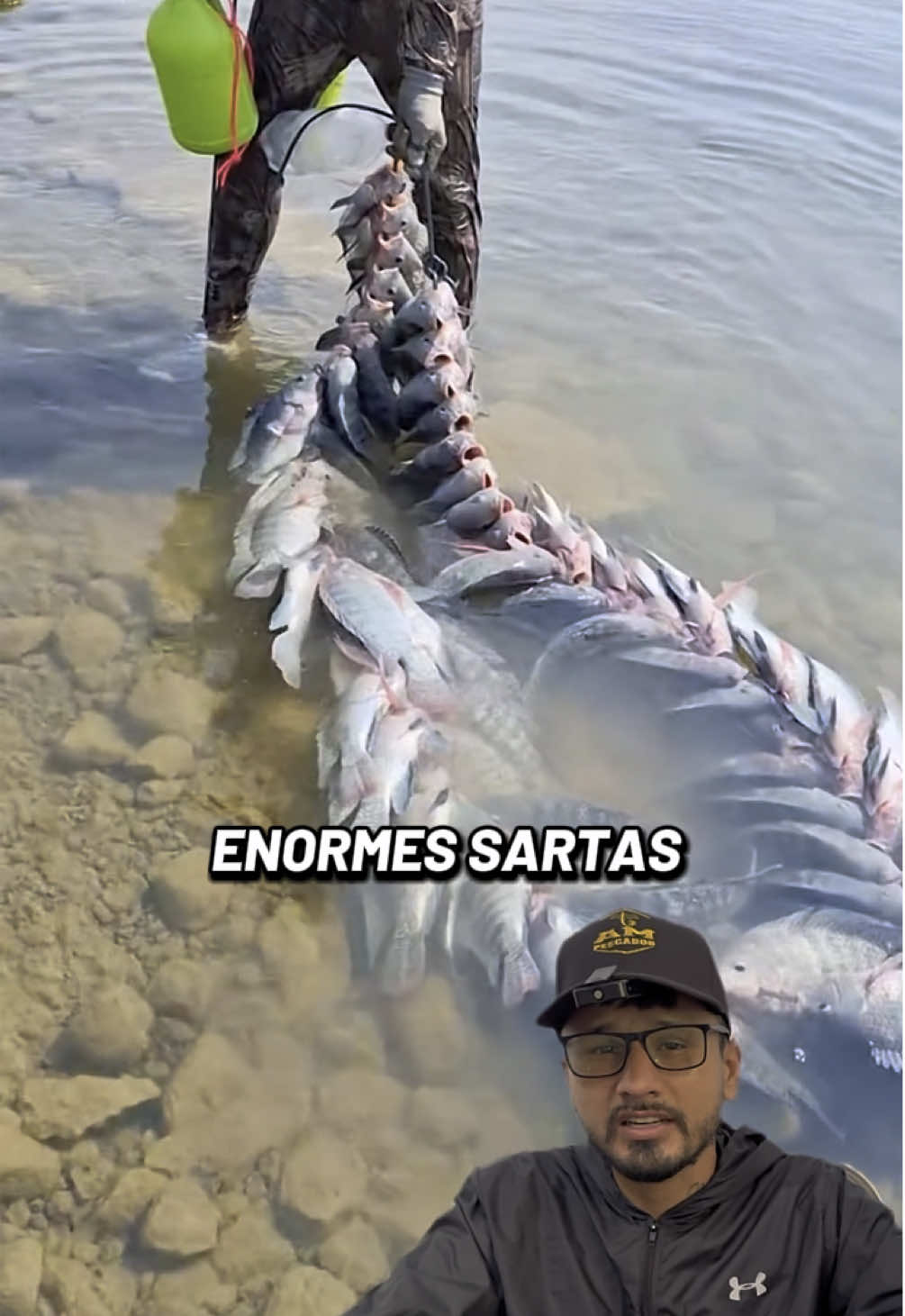 Enormes sartas tilapias. #pesca #reelsviralシ #fishing #virals #videosvirales #sarta #pescasub #pescaextrema #pescaria #tilapia #pescados 