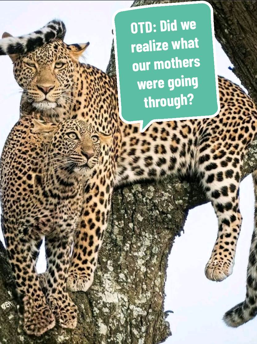 #onthisday #2022 #2024 #may2022 #may2024 Did we realize our moms were victims of this society? #singlemothers #mothers #thinkaboutit #letstalkaboutit #marriedbutsinglemom #mendobetter #happymothersday #mrtracyb #lhbk #readytopounce #doyourownresearch 