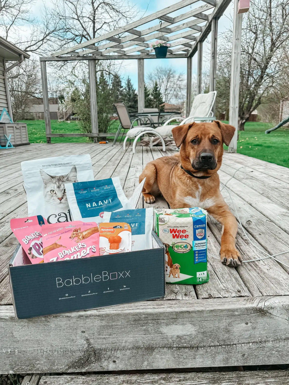 🐾 Calling all pet parents! 🐾 Whether you’re a dog lover or a cat enthusiast, we’ve got something special for your furry family members. Check out these must-haves from our amazing sponsors! 🐶 Naavi Dog Food - Treat your pup to premium, slow-roasted meals with whole muscle proteins and ancient grains. Perfect as a meal or a topper, and loaded with probiotics to keep your dog happy and healthy! 🥩🐔 Use code NAAVI50 for 50% off your first order at naavipet.com #dognutrition #dogfood #dogrecipe #dogdinner #feedmydog @Naavi Pet  🐱 Catit Cat Food - Keep your kitty purring with high-protein, gut-friendly recipes featuring real freeze-dried meat and nutrient-packed ingredients. Perfect for daily adventures and a glossy coat! 🐓 Use codes Fusion20 or Entree20 for 20% off your first order at catit.us #Catit #CatitUSA #CatitRecipes #DoubleFusion  😻 BONKERS Treats - Get ready for some BONKERS fun with Purrpops and Zoomers! Cats go crazy for these chewy, crunchy lollipop treats, and dogs can’t resist the meaty, smoky goodness. Let your pets show their quirky, meme-worthy personalities! #betterwhenitsBONKERS  🦴 NylaBone - Celebrate 70 years of chew happiness with the limited-edition Power Chew Textured Bone and Donut! Durable, fun, and perfect for the toughest chewers. Plus, they help keep those pearly whites clean! #Nylabone #chewtoys #dogtoys #dogchewtoys @Nylabone Dog Toys  🌱 Four Paws Wee-Wee Pads - Potty time made easy with eco-friendly, leak-proof pads! Crafted with responsibly sourced bamboo and recycled materials to keep your home clean and your pup comfortable. #FourPaws #WeeWeePads #EcoFriendly  Tag your fellow pet parents who need to check these out! 💙