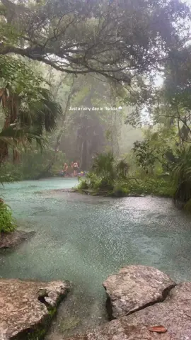 still just as beautiful rain or shine 🌞 #florida #floridasprings #creatorsearchinsights #thingstodoinflorida #Summer #fyp 