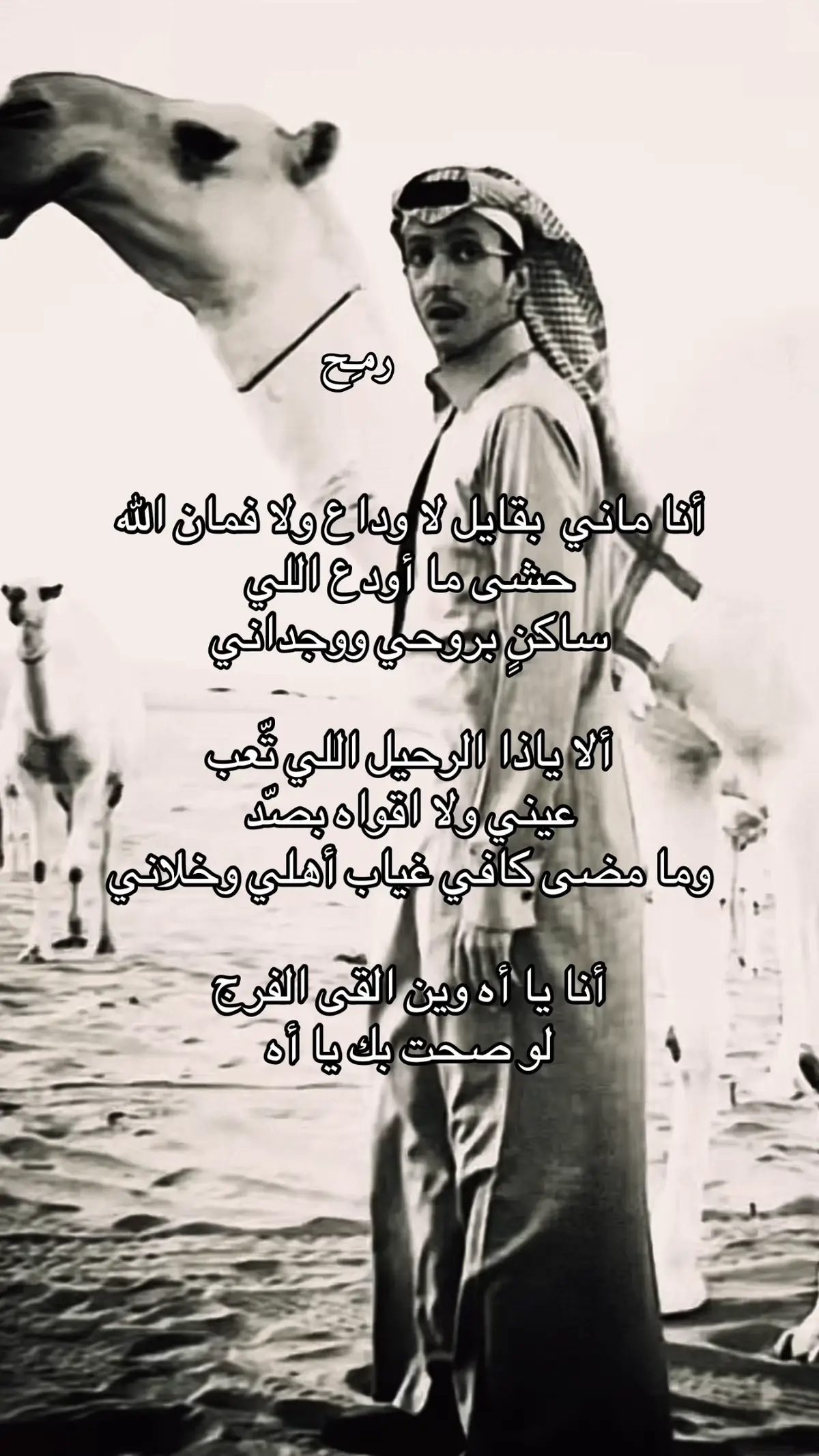 #الامير_سعود_الفيصل #explore #fyp #foryou #riyadh #riyadh #رمح #حب #فراق #قصيد 