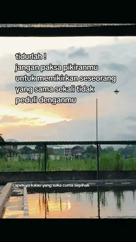 #quotes 