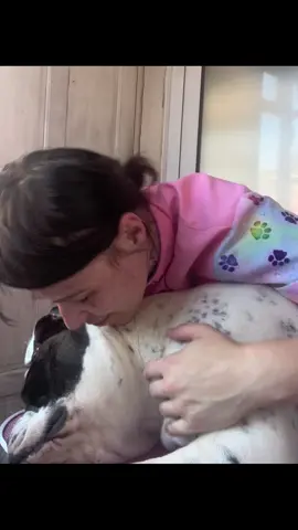 Some of my favourite clips from willows groom 🐶🥹 #alapahabluebloodbulldog #doggroomerlife #dogcuddlesarethebest #gentlehands #bigdoglover 