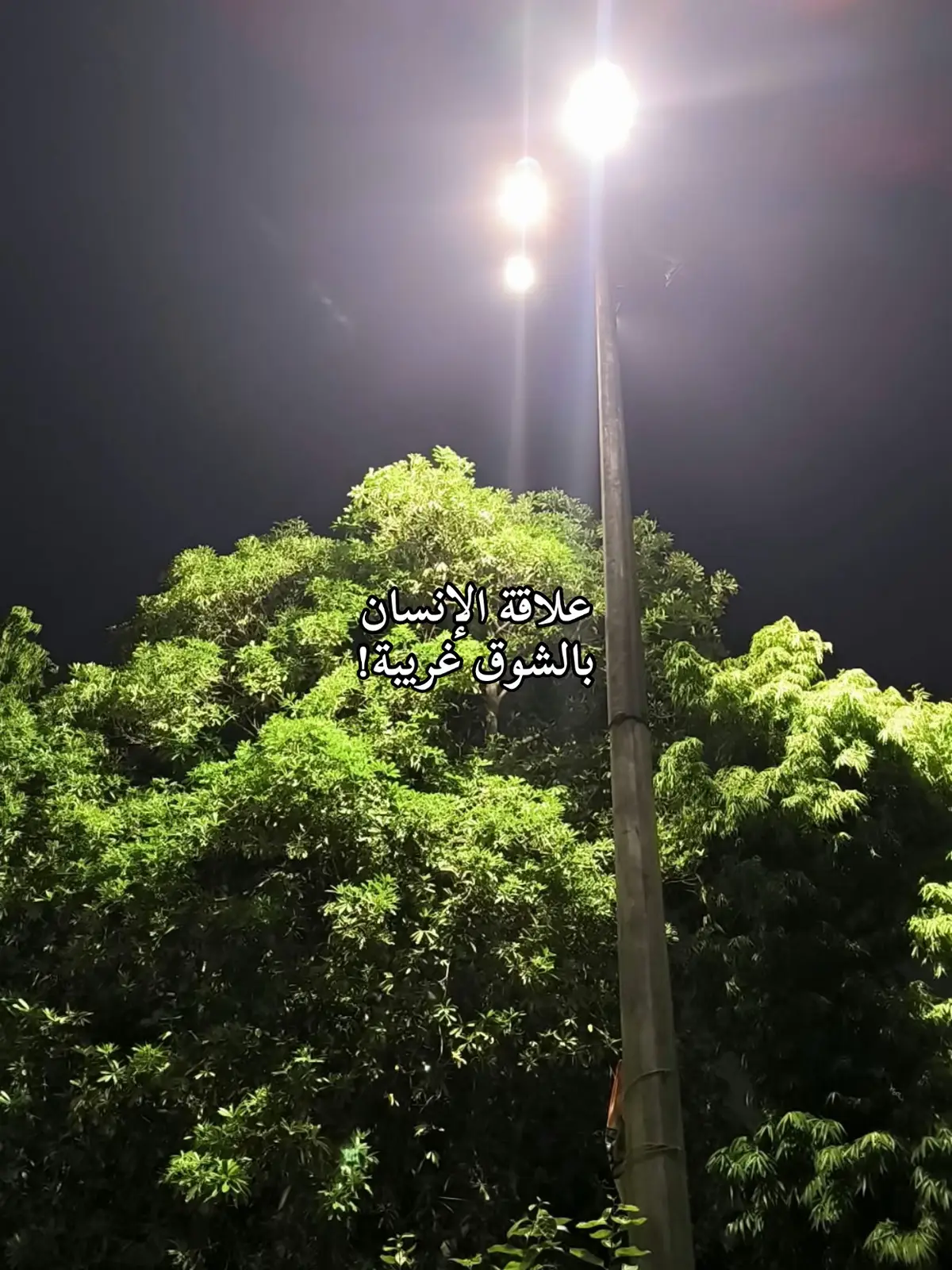 #may #mayo #1demayo #firstofthemonth #bethlehem #ramallah 