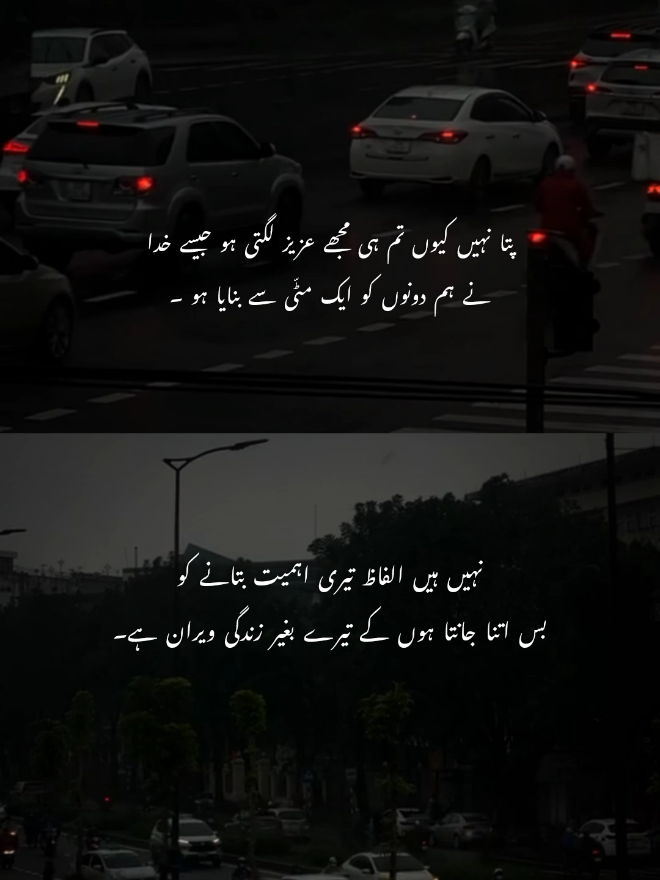 اس طرح کی ویڈیو ایڈیٹنگ سیکھنے کے لئے ابھی میسج کریں بلکل فری 💯#fyp #tiktok #viralvideos #foryoupageofficial #foryou #trndingvideo #foryoupage #urdupoetry #shayeribyam ۔