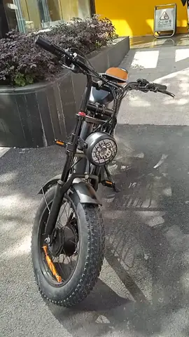Electric bike