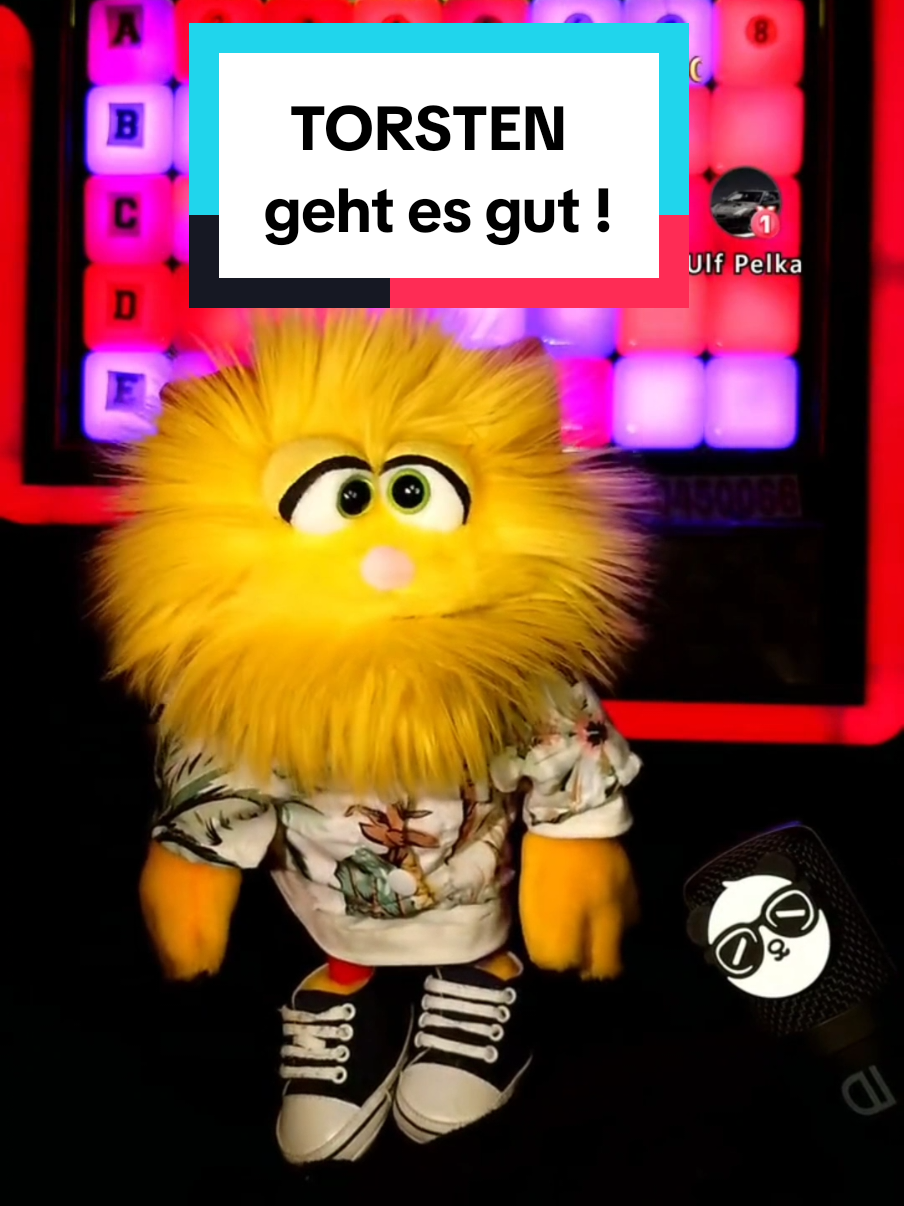 Macht euch keine Sorgen um TORSTEN! 🤣 Ihm geht es eventuell ganz gut 😆 #eventuell #eteam #puppet #comedy #handpuppe 