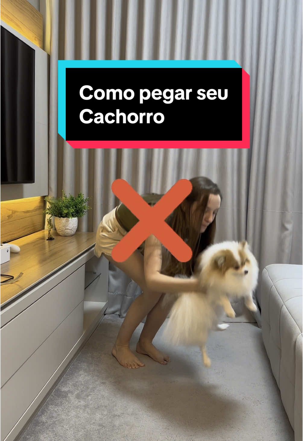Você sabia que a forma como você pega seu cachorro pode afetar a saúde dele? No vídeo de hoje, mostramos os erros mais comuns na hora de levantar o pet e o jeito certo. Uma mão no peito e outra no bumbum, sempre oferecendo apoio e segurança! Evite desconfortos e possíveis lesões. Seu pet merece cuidado até nos detalhes! #spitz #spitzalemao #cachorro #dog #luludapomerania #adestramento #pet #adestramentopositivo #instadog #pomeranian #pets #Love #comportamentocanino #dogs #cachorroétudodebom #dogsofinstagram #spitzalemaoanao #brasil #adestrador #cute #doglovers #pom #DogTraining #adestramentodecaes #spitzalemaobrasil #instagood #caocidadao #lulu #puppy #amor