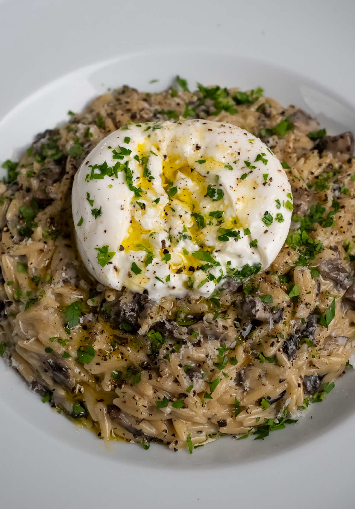 Creamy Mushroom Orzo with Burrata Made with four different types of mushrooms for deep, rich flavor and the perfect bite. I finished it off with creamy burrata and a drizzle of rosemary-infused extra virgin olive oil (because why not make it a little extra?) It’s cozy, a little fancy, and definitely a crowd-pleaser. Perfect for Mother’s Day, dinner with friends, or any night you want something special! #mothersdaydinner #orzorecipe #burrata #mushroomrecipe #fypp #EasyRecipe  Orzo pasta, creamy burrata, wild mushrooms, vegetarian comfort food, rosemary olive oil, easy elegant dinner, cozy meals, spring dinner recipe