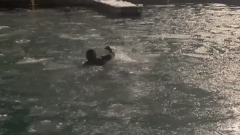 When otters attack… #alaska #wildlife #alaskawildlife #tiktok #comedy #funny #hilarious #timing #danger #dangerous #viral