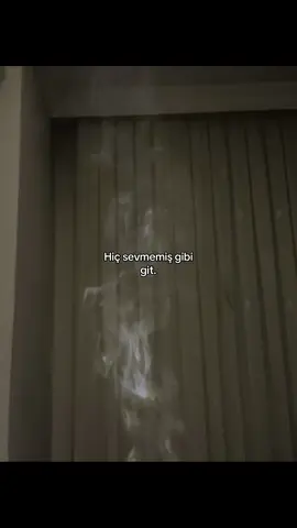 Gitmetabiide