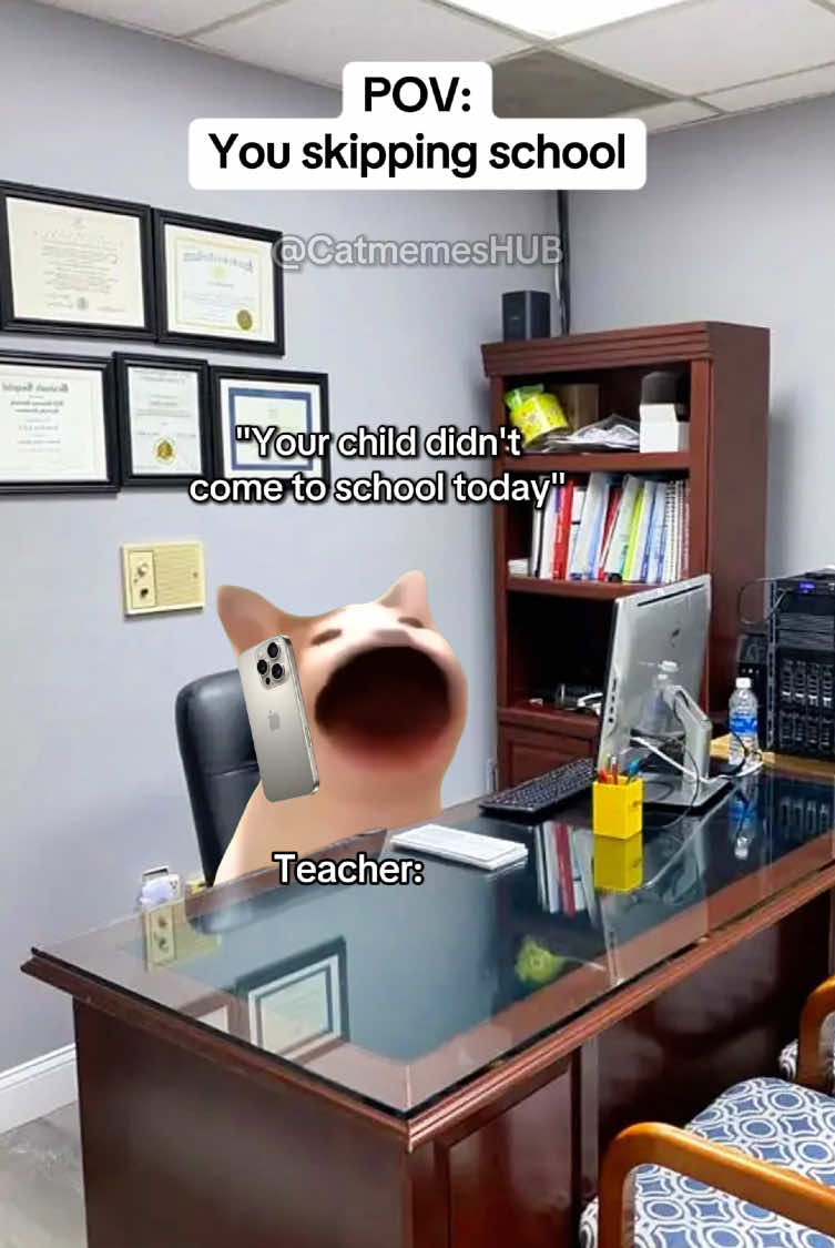 You skipping school #catmemes #realatable #Relationship 